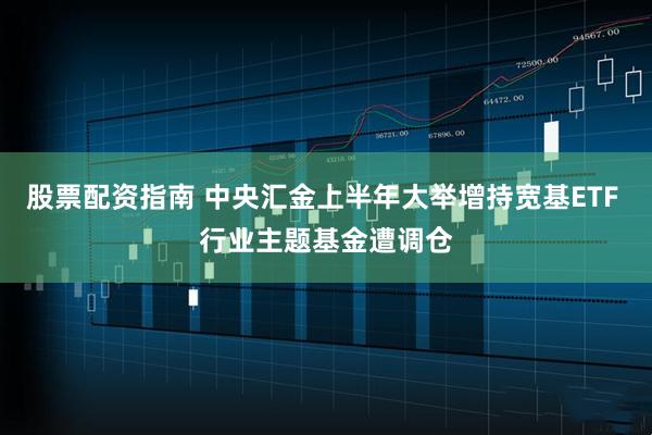 股票配资指南 中央汇金上半年大举增持宽基ETF 行业主题基金遭调仓